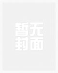 高级妓女（H）